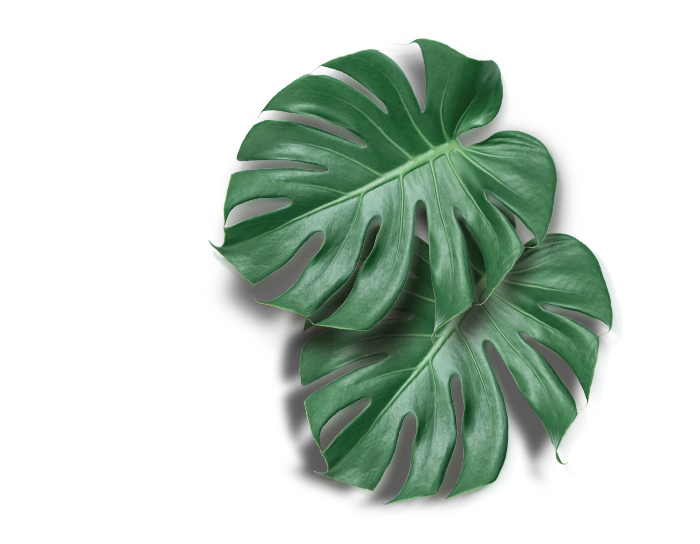 Listovi1