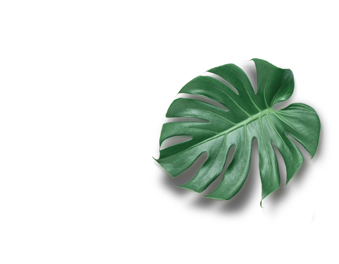 Listovi3