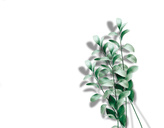 Listovi5
